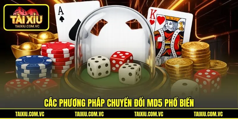 Các phương pháp chuyển đổi MD5 phổ biến Các phương pháp chuyển đổi MD5 phổ biến
