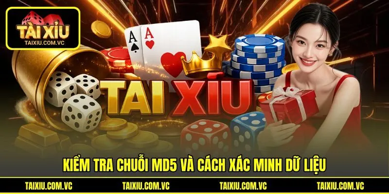 Kiểm tra chuỗi MD5 và cách xác minh dữ liệu Kiểm tra chuỗi MD5 và cách xác minh dữ liệu