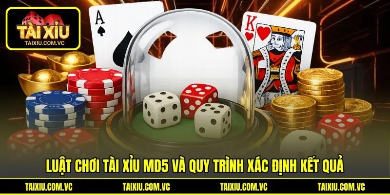 Luật chơi tài xỉu MD5 và quy trình xác định kết quả