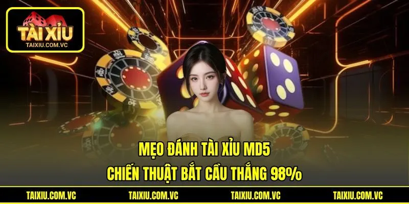 Mẹo Đánh Tài Xỉu MD5 | Chiến Thuật Bắt Cầu Thắng 98%