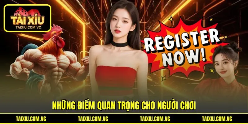 Những điểm quan trọng cho người chơi