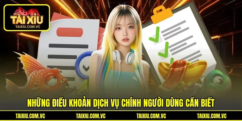 Những điều khoản dịch vụ chính người dùng cần biết Những điều khoản dịch vụ chính người dùng cần biết