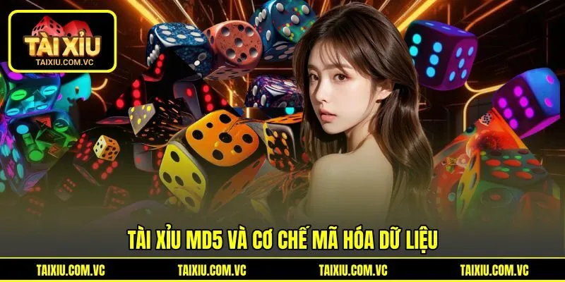 Tài Xỉu MD5 và cơ chế mã hóa dữ liệu Tài Xỉu MD5 và cơ chế mã hóa dữ liệu