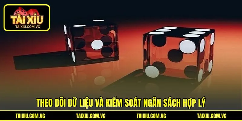 Theo dõi dữ liệu và kiểm soát ngân sách hợp lý